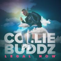 Artwork for Legal Now by Collie Buddz