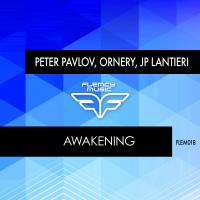 Artwork for Awakening by Peter Pavlov