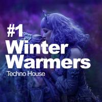 Artwork for #1 Winter Warmers by Techno House