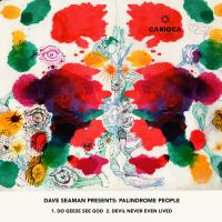 Artwork for Palindrome People by Dave Seaman