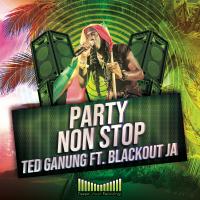 Artwork for Party Non Stop by Ted Ganung