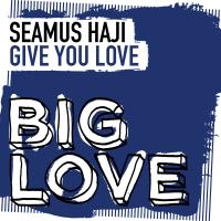 Artwork for Give You Love by Seamus Haji