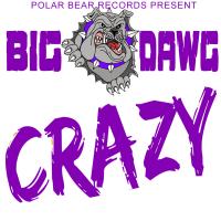 Artwork for Crazy by Big Dawg