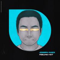 Artwork for Feeling Hot by Joseph Gaex