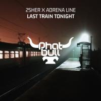 Artwork for Last Train Tonight by 2Sher