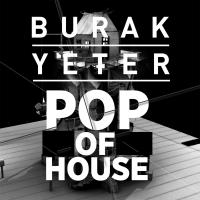 Artwork for Pop Of House by Burak Yeter