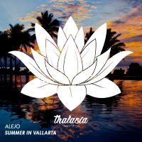 Artwork for Summer In Vallarta by Alejø