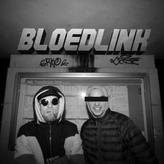 Artwork for Bloedlink 