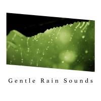 Artwork for Gentle Rain Sounds by Rain For Deep Sleep