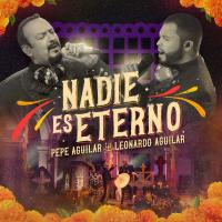 Artwork for Nadie Es Eterno by Pepe Aguilar
