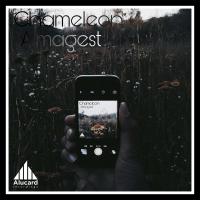 Artwork for Chameleon by Almagest
