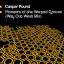 Artwork for Pioneers Of The Warped Groove (Way Out West Remix)