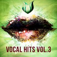 Artwork for Vocal Hits, Vol. 3 by Various Artists