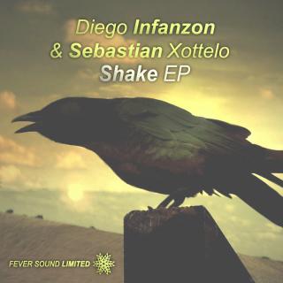 Artwork for Shake (Original Mix)