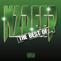 Artwork for The Best Of… by N2DEEP