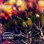 Artwork for Magnolia (Original Mix)
