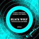 Artwork for White Wolf
