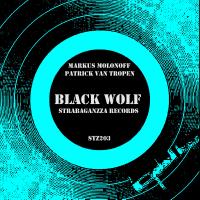 Artwork for Black Wolf by Markus Molonoff