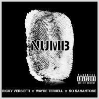 Artwork for Numb by Ricky Versetti