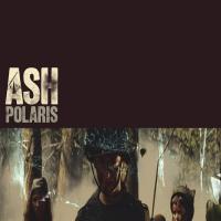 Artwork for Polaris by Ash