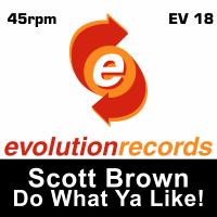 Artwork for Do What Ya Like! by Scott Brown