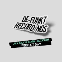 Artwork for Perfect Day by Jay Kay