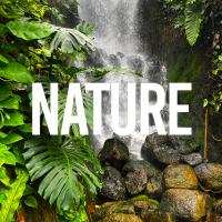 Artwork for Nature by Nature Sounds Nature Music