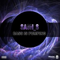 Artwork for Bass Is Pumping by Sash_S