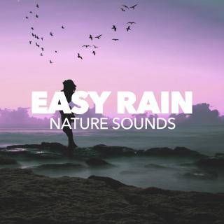 Artwork for Rain Storm (Gentle Mix)