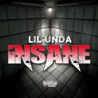 Artwork for Insane by Lil unda