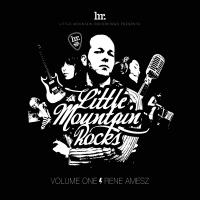 Artwork for Little Mountain Rocks : Vol. 1 : Rene Amesz by Various