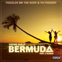 Artwork for Bermuda, Pt. 3: Human by Young Gully