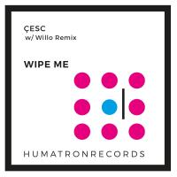 Artwork for Wipe Me by Çesc