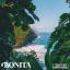 Artwork for Bonita