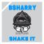 Artwork for Shake It (Original Mix)
