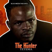 Artwork for Tetema by The Hunter