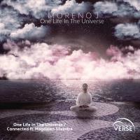 Artwork for One Life In The Universe by Moreno J