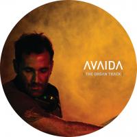 Artwork for Avaida (The Organ Track) by Steve Lawler