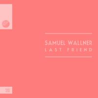 Artwork for Last Friend by Samuel Wallner