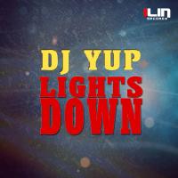 Artwork for Lights Down by DJ YUP