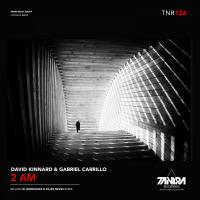 Artwork for 2AM by David Kinnard