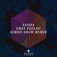 Artwork for That Feelin' (Simon Shaw Remix) by Sanda