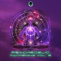 Artwork for Psychedelic Awakening, Vol. 2 by Doctor Spook