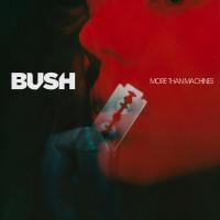 Artwork for More Than Machines by Bush