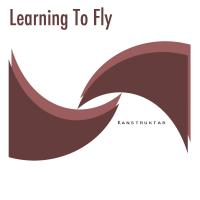 Artwork for Learning To Fly by Various Artists