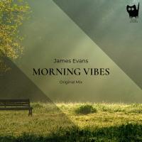 Artwork for Morning Vibes by James Evans