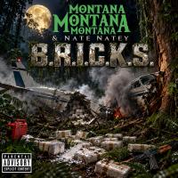 Artwork for B.R.I.C.K.S. by Montana Montana Montana