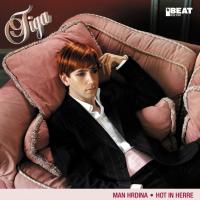 Artwork for Hot in Herre by Tiga