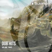 Artwork for Dub Hits, Vol. 3 by Various Artists