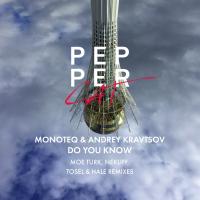 Artwork for Do You Know by Monoteq